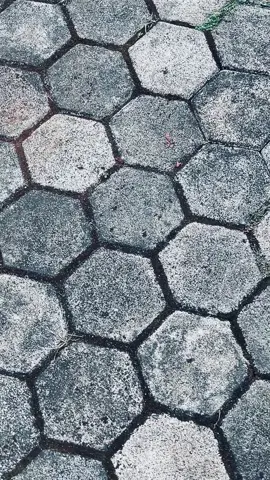 #glgank🤙 #glcepek #gl100indonesia #fyp 