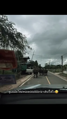 เก็บดิ้ๆ#เธรด #คนเก่า #อีนั่น #ไม่เหมาะสําหรับผู้ดี 