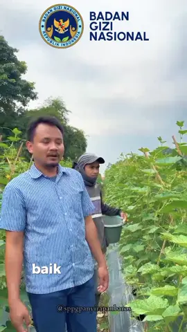 Alhamdulillah, Dengan ada nya program makan gizi gratis kita bisa membantu para petani lokal💪😇#sppgpanyirapanbaros #makanbergizigratis #mbg #makangizigratis 