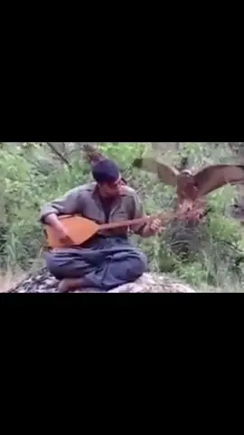 #Kurdistan 