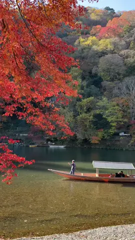 Mùa thu kyoto làm mình nhớ mãi..luỵ nơi này#muathu#kyoto#おすすめ