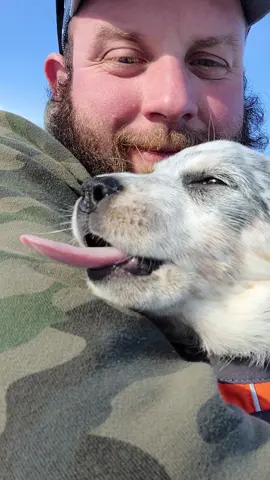 Funny Dog Yawn#dog #dogs #dogsoftiktok #fyp #funny 