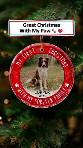 Celebrate holiday joy with this ornament, a shiny keepsake honoring the pawprints that make Christmas magical 🐾🎅 #wanderprints #personalized #gifts #Christmas #petlover
