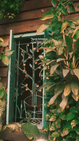 Ngoài hiên mưa, người quên chưa ? #xuhuong #cafemotminh #healing #fyp 