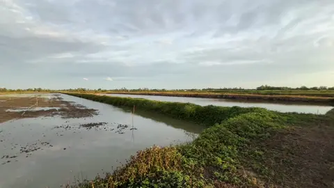 buổi chìu ở vuôn tôm #chil #binhyen #fyp 