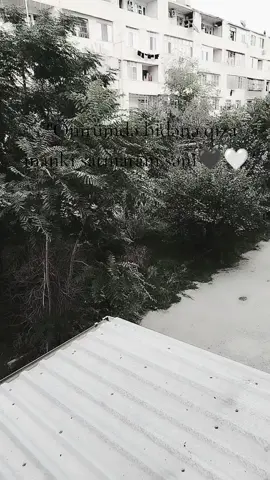 Ömrümdə bidənə qıza inanki satmaram səni 