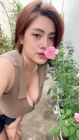 #อังอังทาสกุหลาบ #มือใหม่หัดปลูกกุหลาบ  🌷