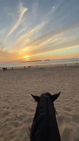 Our Sunset in Essaouira 🌅  . . . . #sunset #viraltiktok #fry #horse #essaouira 