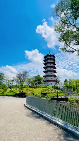 #singapore #fypシ゚ #vairal 