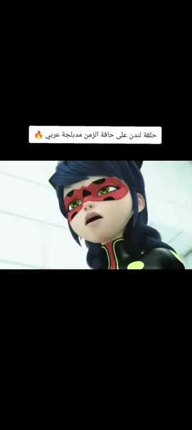 بارت2 #ميراكلس #الدعسوقه🐞 #القط #الاسود🐈‍⬛ 