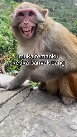 🤣🤣🤣