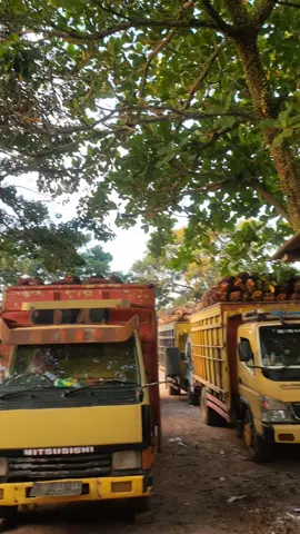 genap 3 hari mas e🔥🤣#sopirsezz #fypage #storykulisawit 