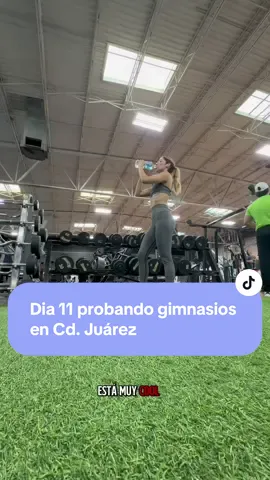 Replying to @Jan🩵  Me extrañaban?? Prometo volver con estas series!! Les dejo los precios en MXN:  -Mes $450 (domiciliado pero sin contrato y cancelable cuando quieras)  -Mes regular: $500   -Promo Sept: 2 meses x$799  -Día: $100  -Año: $4500 domiciliado y $5000 regular   #gimnasiosenjuarez #ciudadjuarez #gym #Fitness #rutina 