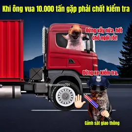 Vua tải nặng gặp chốt kiểm tra. #meme #catmeme 