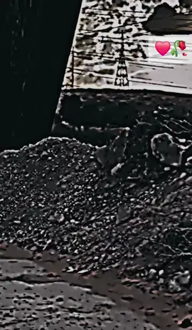 فيرنا ولارزق غيرنه🔥#تصميمي❤  #سبهاالصمود❤️‍🔥💎#فيرنا_ياحاج❌🦅  #فيرنا_شعار_لا_يعرفه_القانون😎  #تصميم_فيديوهات🎶🎤🎬  @محمد🦇√. 