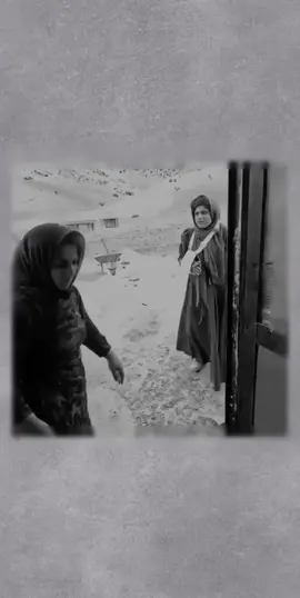 نتكاون عل جلي علا مين اني واختي 🥲🤣🤣#fyppppppppppppppppppppppp #محضوره_من_الاكسبلور_والمشاهدات #تصميم_فيديوهات🎶🎤🎬 #مالي_خلق_احط_هاشتاقات #😂😂😂😂😂 