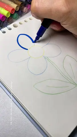 Dual tip acrylic marker. Water color brush pen. #acrylicmarker #calligraphy #design #doubleheadedmarkers #notes 