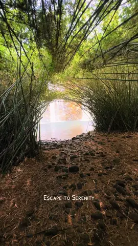 Cascade Rioux #mauritius #fyp #waterfall #adventure #nature  @Peerally Zubeir  