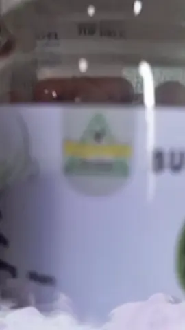 #viral #herbalviral #herbal #kapsulpinangoriginal #kapsulpinangasli 