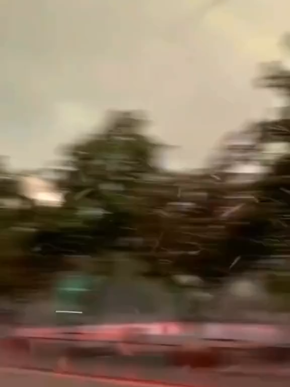 #cherryblossom #japan #travel #lofi #couple #relax  by rareucare