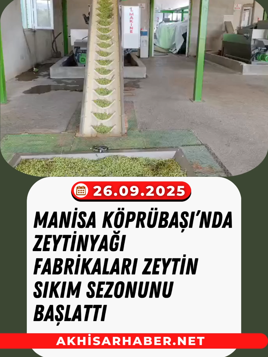 Manisa Köprübaşı’nda Zeytinyağı Fabrikaları Zeytin Sıkım Sezonunu Başlattı Türkiye İstatistik Kurumu (TÜİK) verilerine göre Türkiye’nin 7. büyük zeytin üretim yeri olan Manisa’nın Köprübaşı ilçesinde erken dönem zeytin hasadına başlandı. Üreticiler topladıkları arbekine, Ayvalık ve memecik türü zeytinleri fabrikalarda yağ sıkımına başladı. Zeytinleri soğuk sıkım olarak sıktıklarını söyleyen Yavuzhan zeytinyağı fabrikası sahibi Ecz. Aydın Mergen, ”fabrika olarak tüm hazırlıklarımızı tamamladık. Bölgemizin ihtiyacı olan fabrikayı, Köprübaşı İlçe Hastanesinin karşısında açarak halkımıza Haus marka makinalarla hizmet vermeye başladık Zeytinyağı çıkartmak isteyen bölge halkımızı son sistem makinelerle donattığımız fabrikamıza bekleriz” dedi. Hasattan sonra zeytinleri bekletmemek gerektiğini, kendi markaları Eczmer dışında, Hermus gibi dünyaca meşhur markalarda yağlarını fabrikalarında çıkardığını hatırlatan Mergen, ”Köprübaşı zeytin ve zeytinyağında tarımsal üretimde büyük bir öneme sahip ve dünyada adından söz ettiriyor. Bölgemiz Ege Üniversitesi tarafından zeytin ağacının yetişmesi için en ideal coğrafyalardan biri olarak ifade edildi