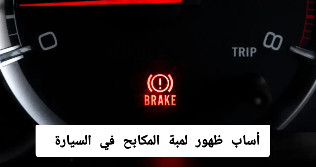 #viral_video #explorepage✨ #السيارات #شعب_الصيني_ماله_حل😂😂 #pourtoi 