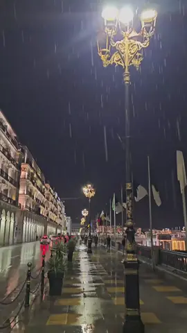 Algiers 🇩🇿🌩️🌧️