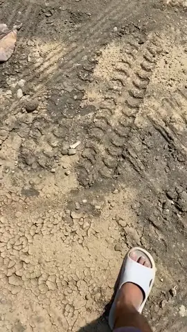 info kata kata mu ndor @rianpriagung #umplung_mania #glogor_kenong_merapi #umplungmenolakpunah #fyp #malangrayatrucklovers 