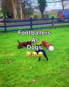 Footballers as Dogs 🤣😂🤣 #football #footballer #trending #viral #funny 