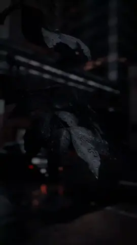 maaf bukan bermaksud🙏🙏 #storytime #aesthetic #storysad🥀 #fyp #storywa 