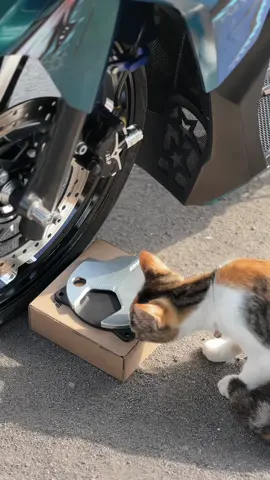 Punya kalian masi std? Mendingan ganti yang kaya gini@ARUMI MOTO PART 🥶 . . . #fyp #varghost⚡ #vario #penggunaring17 #vietnamstelyy🇻🇳 