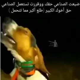 #مشاهدات #explore #fyp #الجيار_لا_يختشي #مصر 