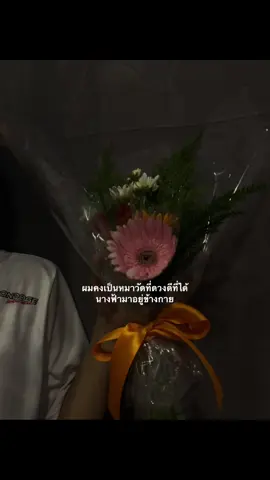 #fyp #ฟีดดดシ #เปิดการมองเห็น #คลั่งรัก #เเท็กเเฟน 