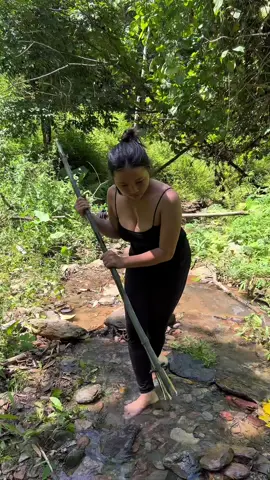 Survival skills: how to catch fish in the forest#camping #survival #Outdoors #bushcraft #survivalskills 