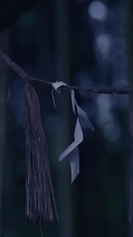 森に息づく、静寂の荒戸神社 “Arato Shrine—where silence breathes in the forest.” Deep within the silent forest stands Arato Shrine, where raindrops and ancient trees blur the line between the everyday world and the unseen. 静寂に包まれた石段を進むと、 ひっそりと佇む荒戸神社。 森の息づかいと雨のしずくが、 現実と異界の境をそっと滲ませる――。 @hiroko.nogami 📍荒戸神社/岡山県高梁市成羽町成羽2237 Arato Shrine, 2237 Nariwa, Nariwa-cho, Takahashi City, Okayama Prefecture, Japan #荒戸神社 #異世界神社 #MysticalJapan  #HiddenJapan 