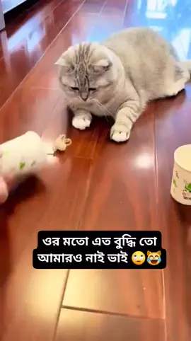 কি বুদ্ধিরে ভাই,,🙈