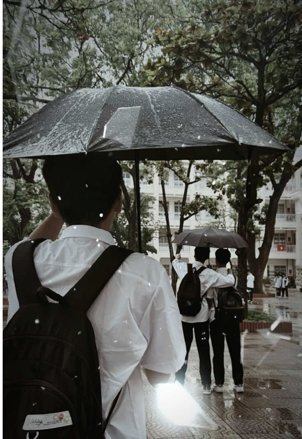 Dưới cơn mưa … 🌧️☔️ @Son Tung M-TP #thptntn #10a3k48ntn #xh #viral 