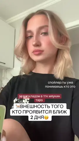 за раскладом в тгк:мяукин таро💋🫶🏽#раскладтаро #эзотерика #таролюбовь #таро 
