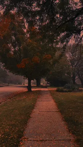 quiet autumn walk 😌🍂  #fyp #nostalgia #ambient #autumn #fog 