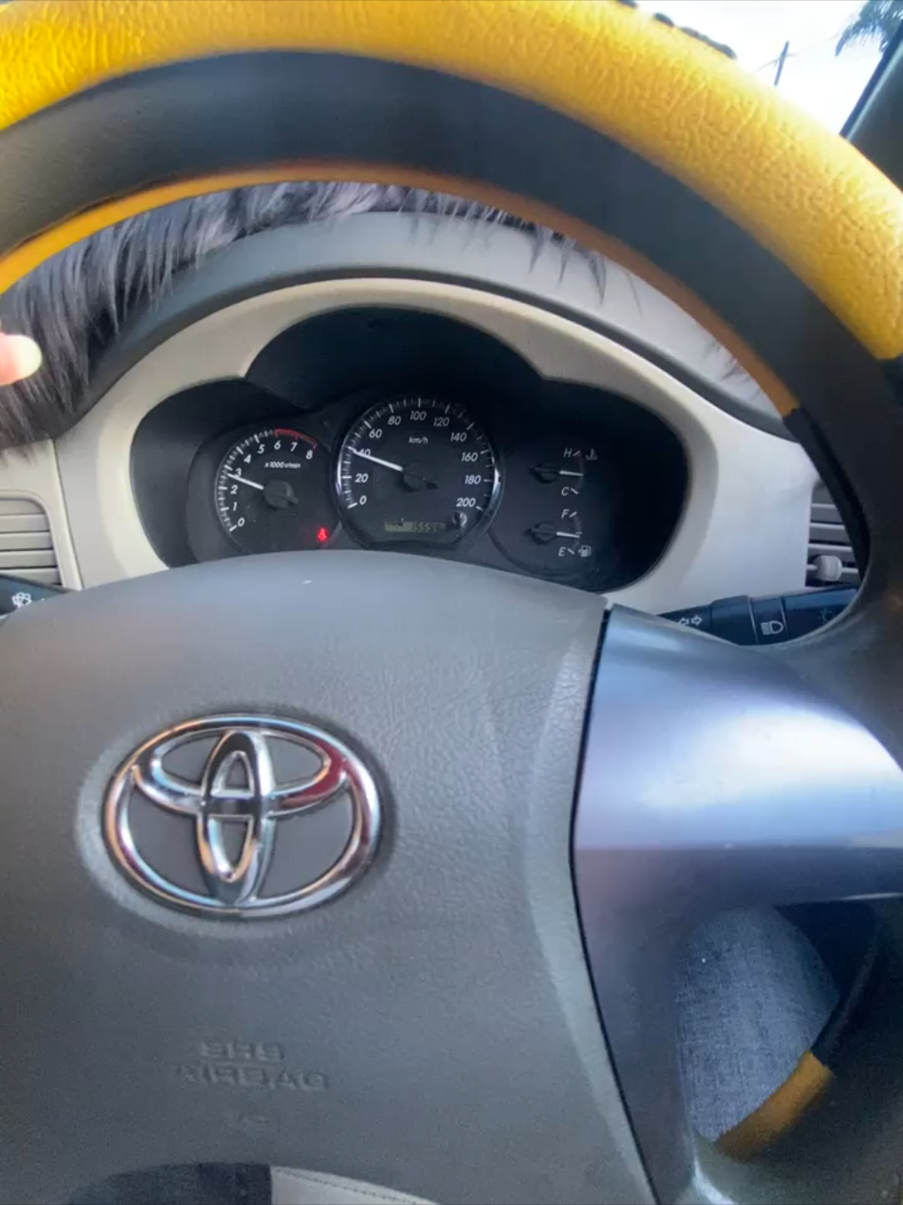 BOH MI GEHH #fyp #katagayo #lagugayo #takengon #viral 