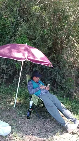 🌅 Momento de paz si o no?