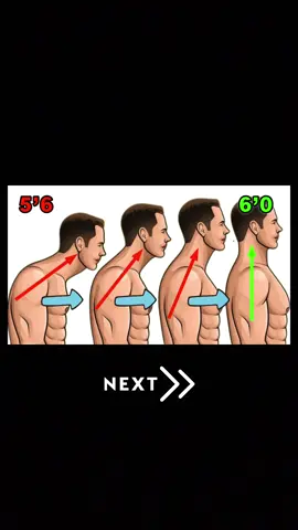 How to fix straight neck 