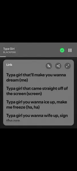 Type girl - Blackpink #fyppppppppppppppppppppppp #fypシ゚ #fypシ゚viral #4u #4upage #spotify #lyrics #blackpink 