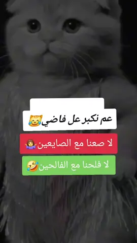 #حلب_ادلب_حمص_حماه_تركيا_اسطبنول #قيصري_تركيا #عشاق_شاشة_سوداء #عشائر_سوريا 