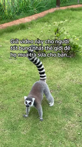 Mãi là bạn tốttt 😉 #VinWonders #GreenCreator #dulich 