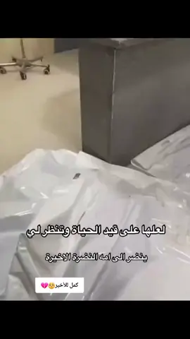 #مشاهير_العراق #شعب_الصيني_ماله_حل😂😂 #اقسام_داخليه_جامعة_البصرة #اقسام_داخلية 