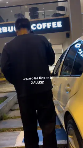 estoy formando un grupo de traders que operan el XAUUSD, ve al link de mi perfil y déjame un mensaje para agregarte.. #trading #viral #jovenes 