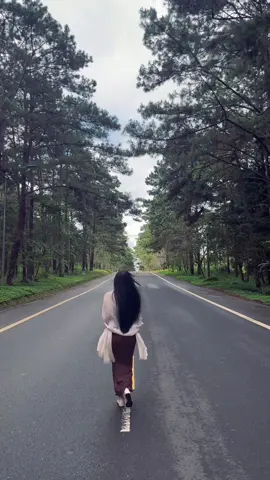 Măng đen không ồn ào, chỉ nhẹ nhàng mà khiến người ta nhớ mãi..#mangden#mangden_kontum #reviewmangden#xuhuong 