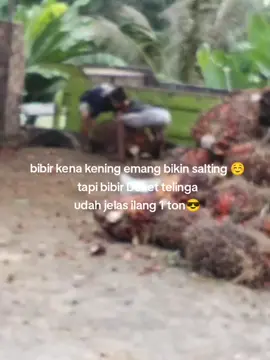 menyala sawitku 🔥🔥 #sawit #jambi #muatsawit #sawitontiktok #fyp 
