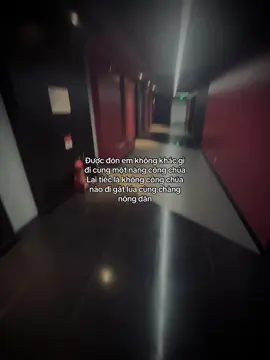 Được đón em không khác gì đi cùng một nàng công chúa Lại tiếc là không công chúa nào đi gặt lúa cùng chàng nông dân#tanh08_ #tamtrang #story #tinhyeu 